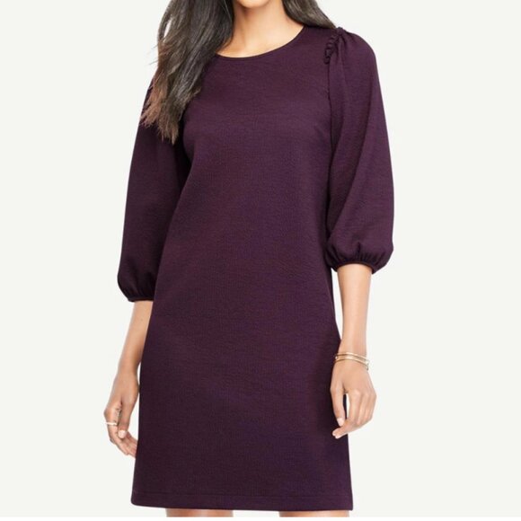 Ann Taylor Shift Dress Purple Bubble Long Sleeve Lightweight Womens Size Large - Picture 1 of 12